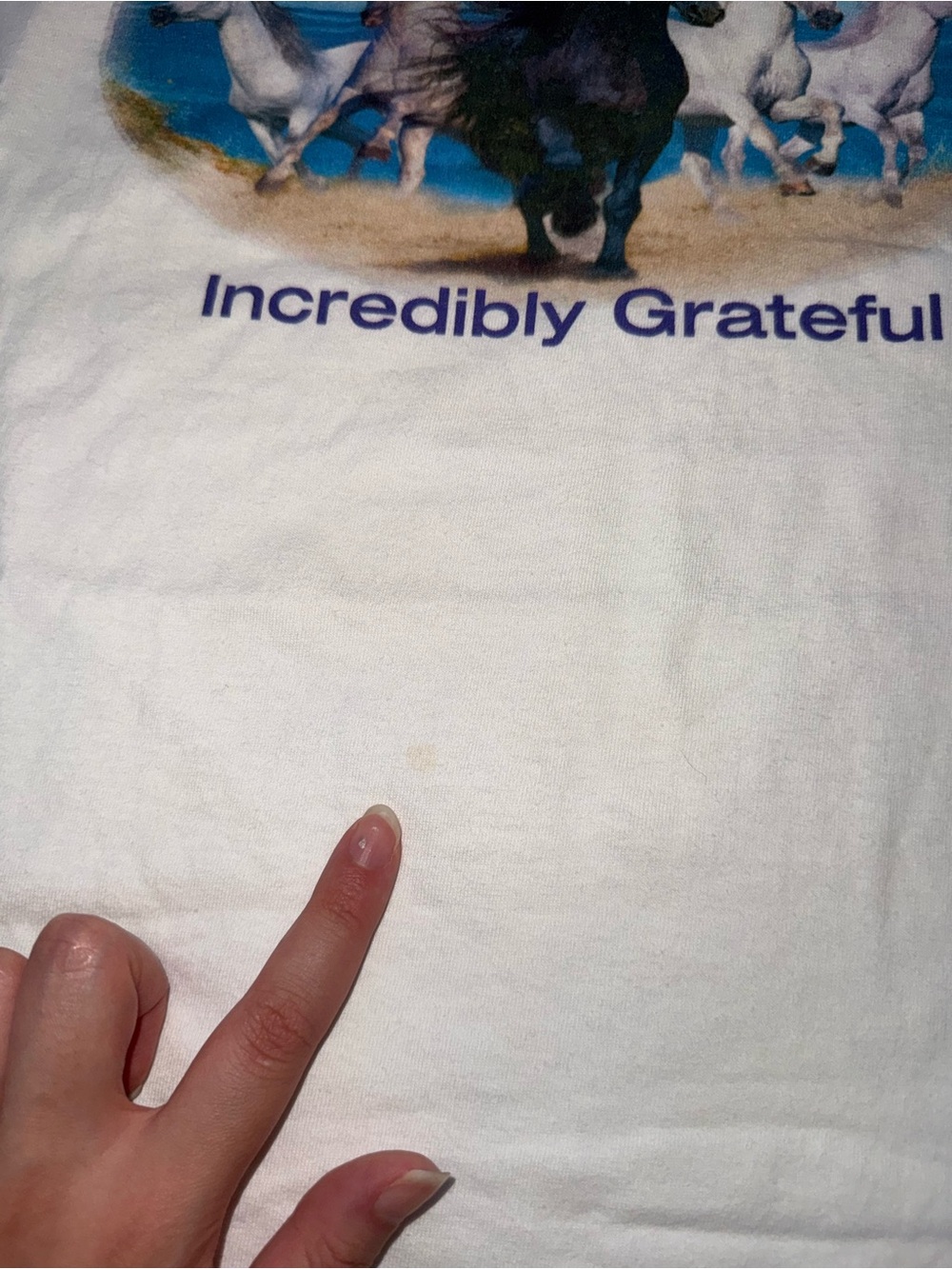 Blessed & Grateful T-Shirt - Picture 4 of 5